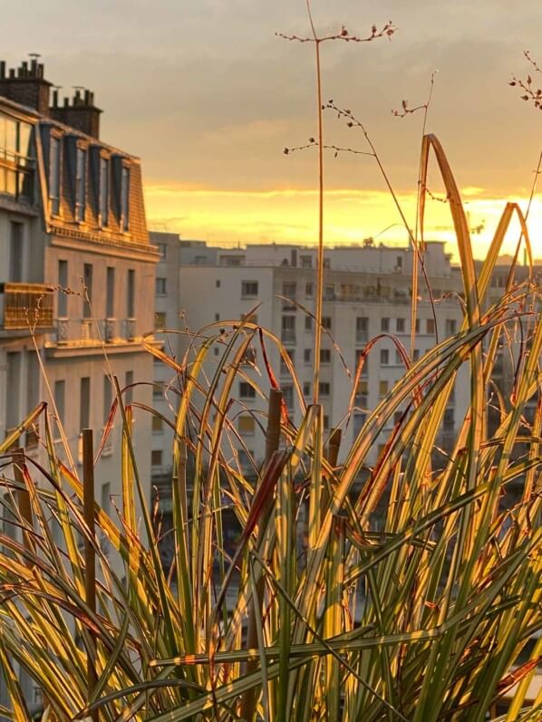 Soleil matinal en hiver sur mon balcon parisien, Paris 19e (75)