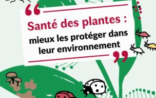 Santé des plantes : mieux les protéger dans leur environnement, conférences, webinaire, SNHF, janvier et février 2021