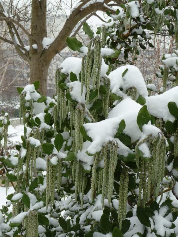 Lire la suite à propos de l’article L’hiver, la saison la plus courte dans l’hémisphère Nord