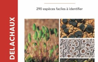 Mousses et lichens - 290 espèces faciles à identifier. Volkmar Wirth, Ruprecht Düll et Steffen Caspari, Delachaux & Nestlé, février 2021