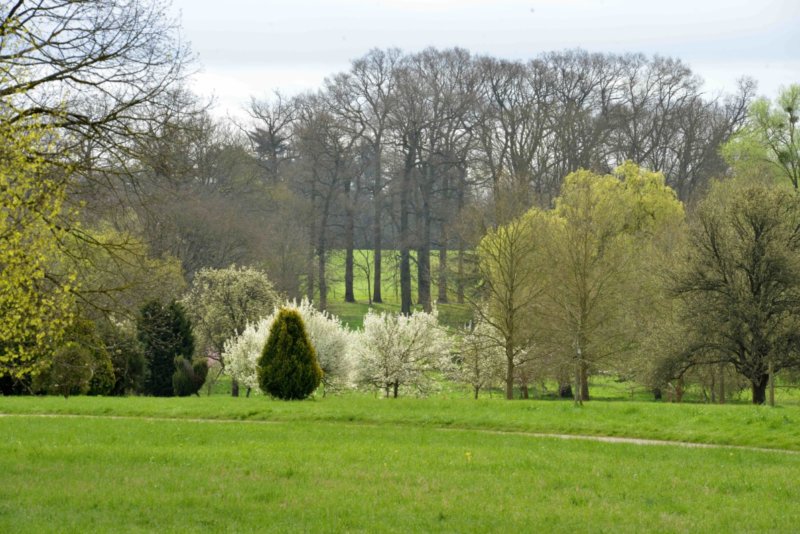 Arboretum de Versailles-Chèvreloup, ©MNHN S.Gerbault