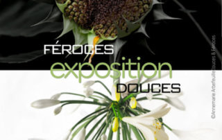 Exposition "Féroces Douces", Anne-Marie Arbefeuille, Paris, 2021