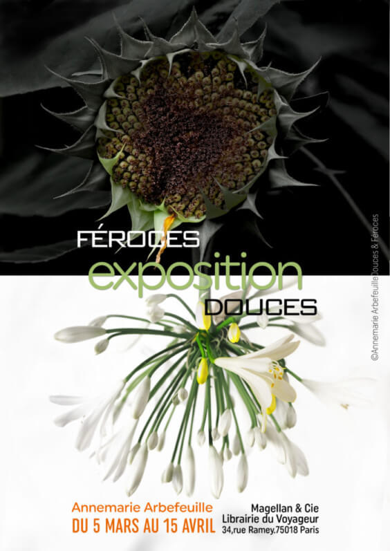 Exposition "Féroces  Douces", Anne-Marie Arbefeuille, Paris, 2021