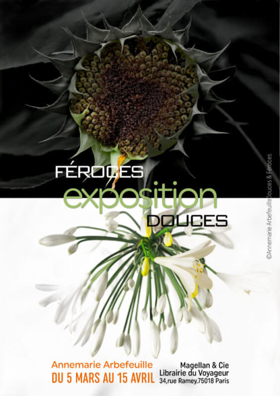 Exposition "Féroces Douces", Anne-Marie Arbefeuille, Paris, 2021