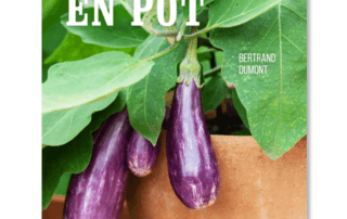 Le potager en pot, Bertrand Dumont, Éditions MultiMondes, mars 2021