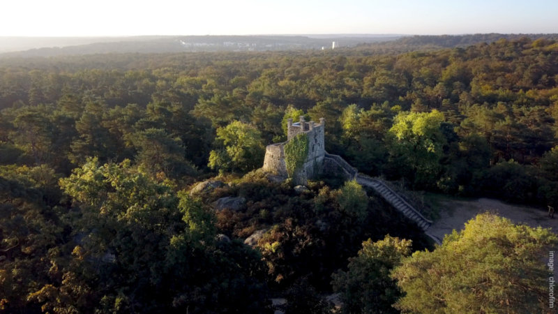 Tour Denecourt, photo Fontainebleau Tourisme : Chlorofilm