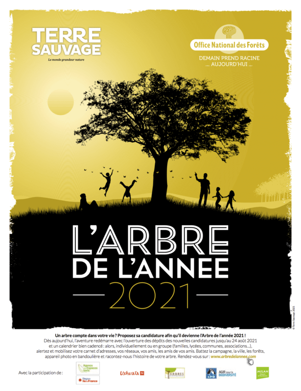 Affiche du concours de l’Arbre de l’année 2021