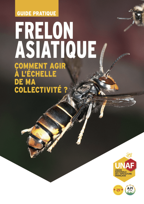 Guide sur les bonnes pratiques à adopter pour lutter contre le frelon asiatique, UNAF