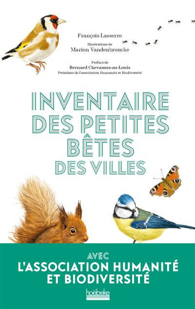 Lire la suite à propos de l’article Inventaire des petites bêtes des villes