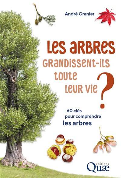 Lire la suite à propos de l’article Les arbres grandissent-ils toute leur vie ?
