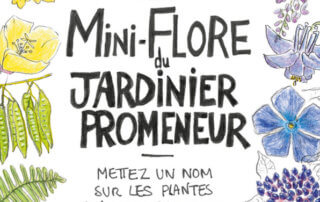 Mini flore du jardinier promeneur. Marine Cressy, Éditions Ulmer, avril 2021