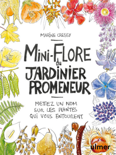 Mini flore du jardinier promeneur. Marine Cressy, Éditions Ulmer, avril 2021