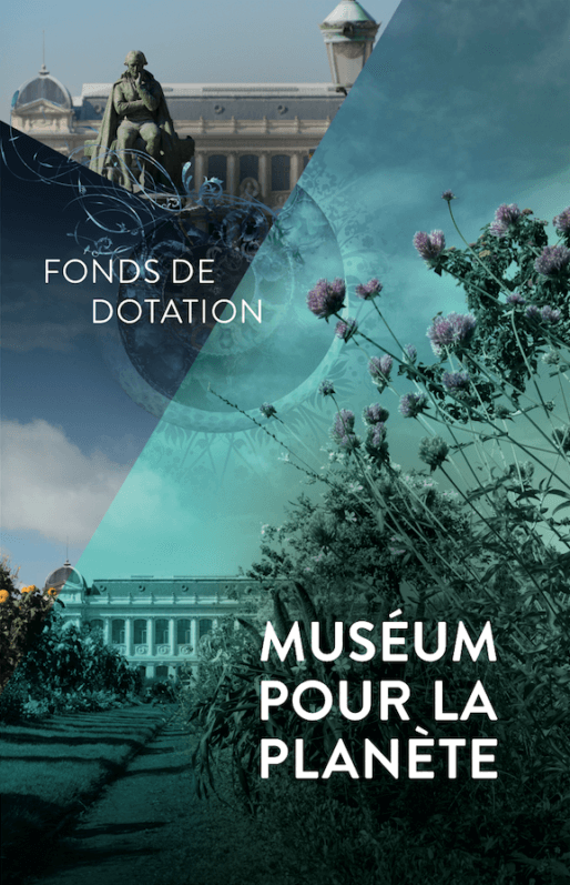 Lire la suite à propos de l’article Le Muséum national d’Histoire naturelle lance le Fonds de dotation “Muséum pour la planète”