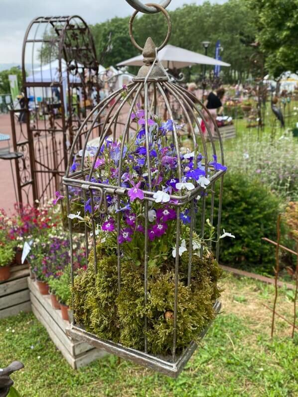 Lobélias en cage, suspension fleurie, Jardins en Seine, Suresnes (92)