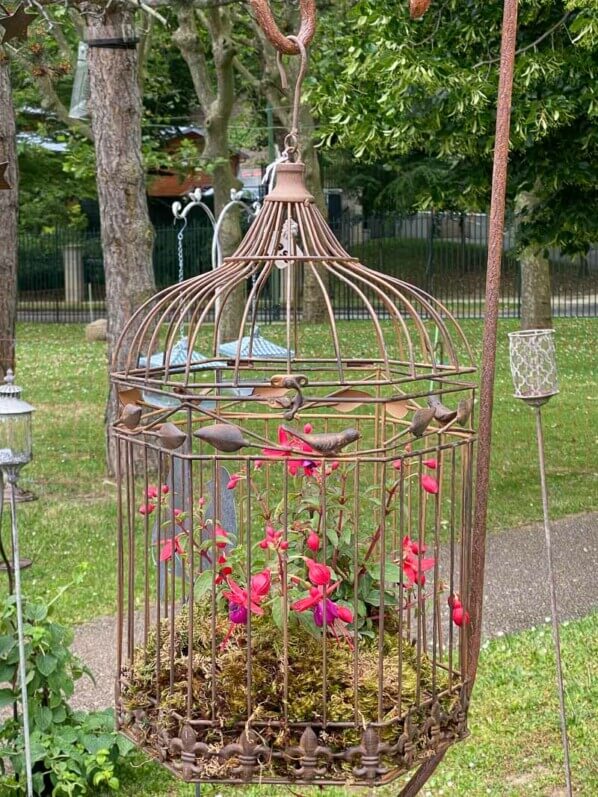 Fuchsia en cage, suspension fleurie, Jardins en Seine, Suresnes (92)