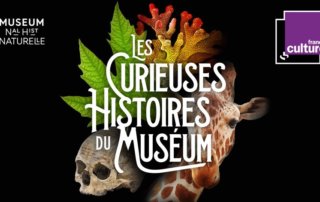 Les Curieuses histoires du Muséum, podcasts, France Culture et Muséum national d'Histoire naturelle
