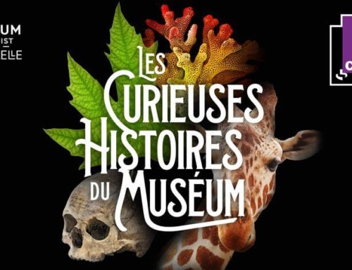 Lancement du podcast “Les Curieuses histoires du Muséum”