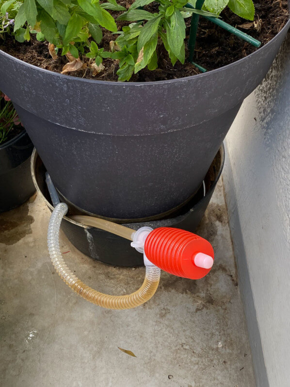 Pompe à main, soucoupe remplie d'eau, au printemps sur mon balcon parisien, Paris 19e (75)