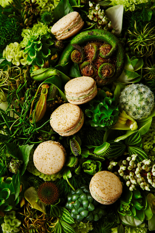 Macarons Jardin d'Eden, Pierre Hermé