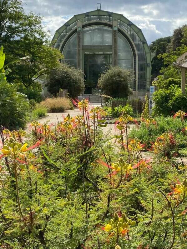 Grande serre, en été dans le Jardin des plantes, Paris 5e (75)