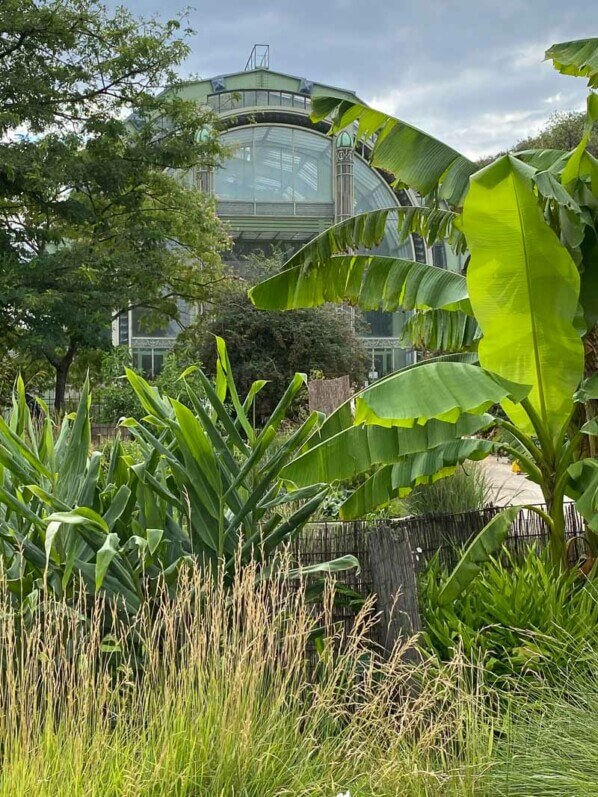 Grande serre, en été dans le Jardin des plantes, Paris 5e (75)