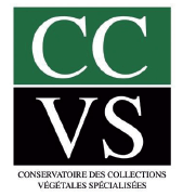 Logo du CCVS
