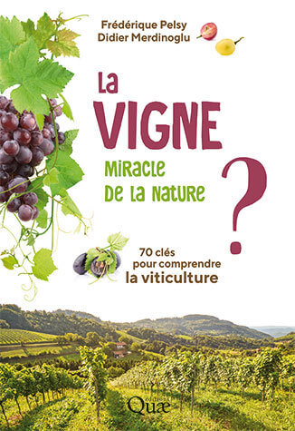 La vigne, miracle de la Nature ? 70 clés pour comprendre la viticulture. Frédérique Pelsy, Didier Merdinoglu, Éditions Quae, août 2021