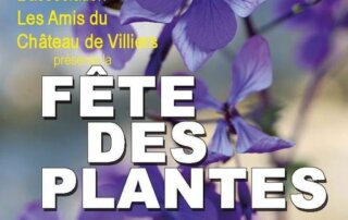 Fête des plantes à Draveil (91) les 18 et 19 septembre 2021