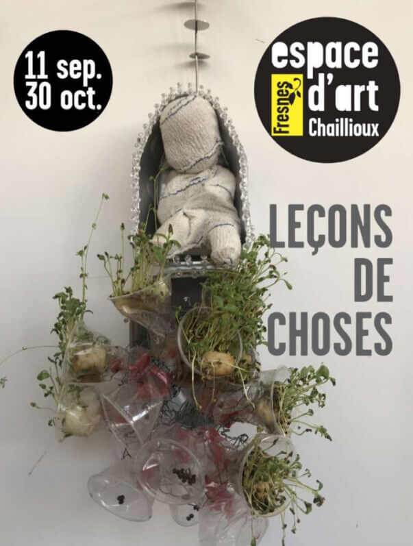 Nouvelle exposition de l’Espace d'art Chaillioux (Fresnes 94) : Leçons de choses