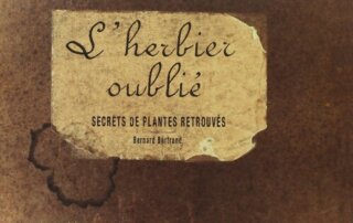 L’herbier oublié - Secrets de plantes retrouvés. Bernard Bertrand, Éditions Plume de Carotte, réédition septembre 2021