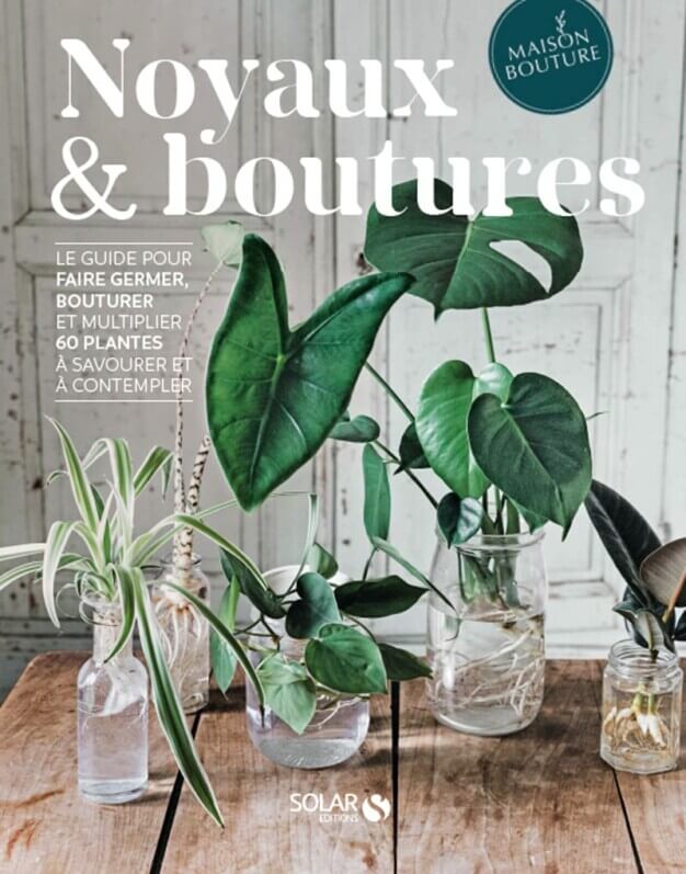 Lire la suite à propos de l’article Noyaux et boutures
