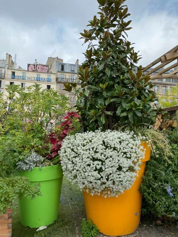 Alysse odorant, potée, Gare de l'Est, Paris 10e (75)