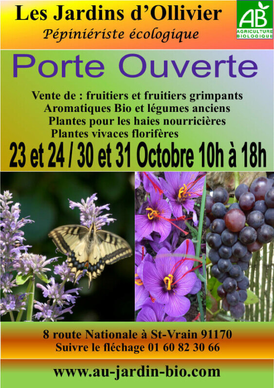 Lire la suite à propos de l’article Les Jardins d’Ollivier, portes ouvertes les 23, 24, 30 et 31 octobre 2021