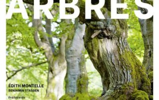 Auprès de nos arbres. Édith Montelle, Éditions Delachaux & Niestlé, octobre 2021