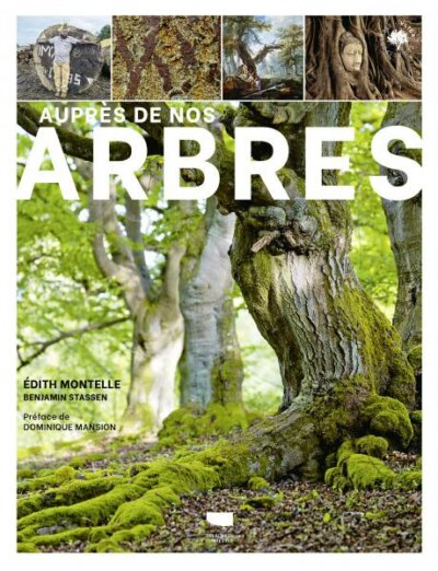 Auprès de nos arbres. Édith Montelle, Éditions Delachaux & Niestlé, octobre 2021