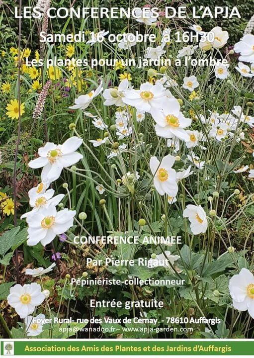 Lire la suite à propos de l’article Conférence sur les plantes pour un jardin à l’ombre le 16 octobre 2021