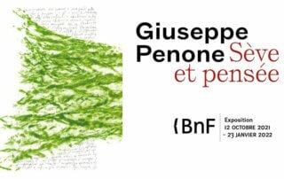 Exposition Giuseppe Penone, "Sève et pensée" à la BnF (Paris 13e)