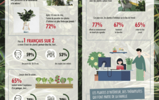 Infographie, plantes d'intérieur, Maplantemonbonheur.fr