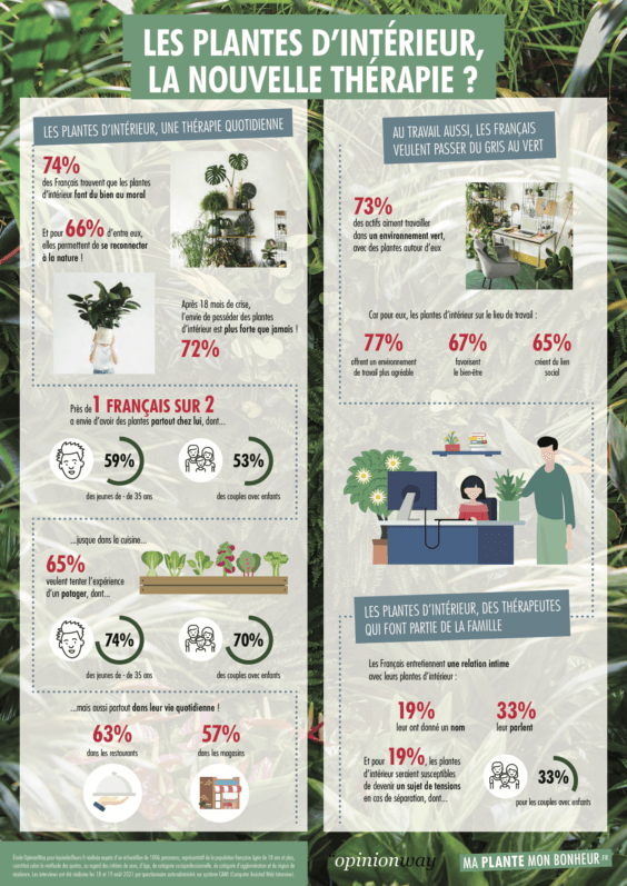 Lire la suite à propos de l’article Sondage Maplantemonbonheur.fr – Pour 74% des Français les plantes d’intérieur font du bien au moral