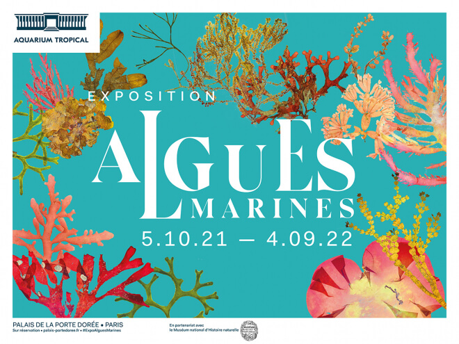 Lire la suite à propos de l’article Exposition “Algues marines” du 5 octobre 2021 au 4 septembre 2022