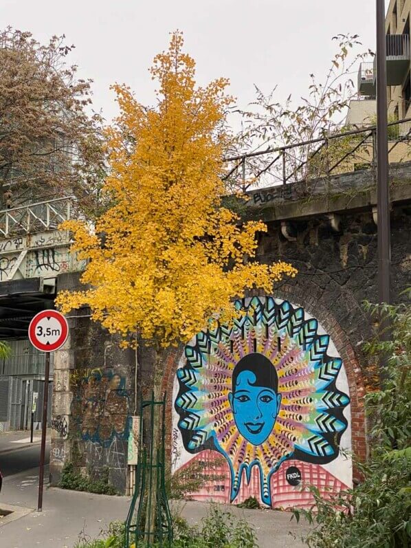 Ginkgo biloba en automne, fresque Joséphine Baker, street art dans la rue des Ardennes, Paris 19e (75)