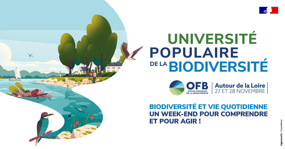 Lire la suite à propos de l’article L’OFB lance l’Université populaire de la biodiversité