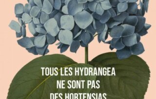 Webinaire "Tous les hydrangea ne sont pas des hortensias" le mardi 30 novembre 2021