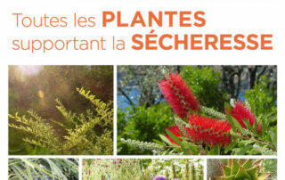 Toutes les plantes supportant la sécheresse, Aurélien Davroux, Ulmer, 2020