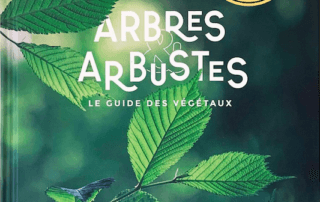 Arbres & Arbustes. Horticolor, novembre 2021