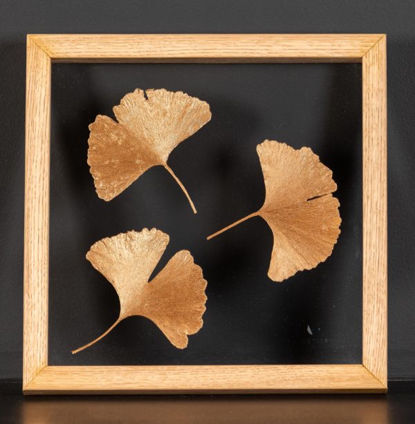 Atelier Germain, Ginkgo métallisé, mini herbier