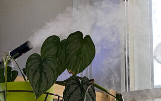 Brume pour humidifier l'air ambiant, hygrométrie, plantes d'intérieur, Paris 19e (75)