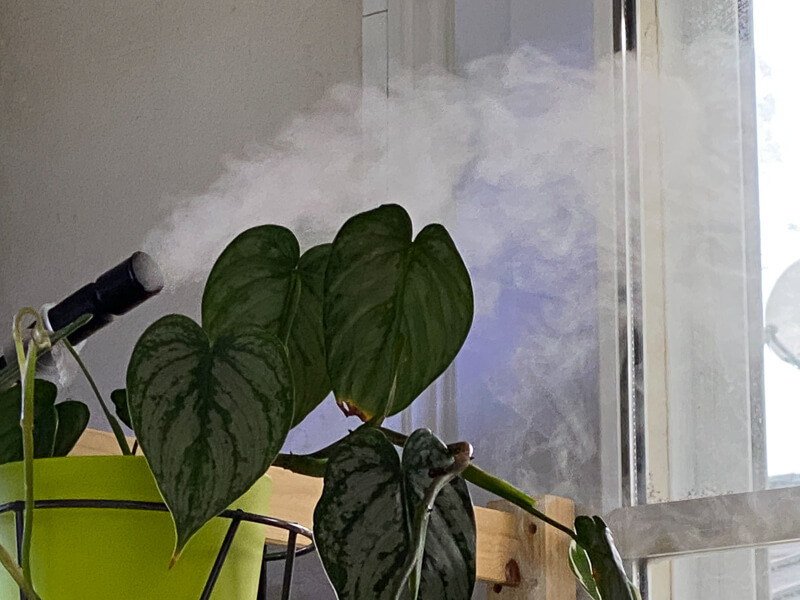 Brume pour humidifier l'air ambiant, hygrométrie, plantes d'intérieur, Paris 19e (75) 