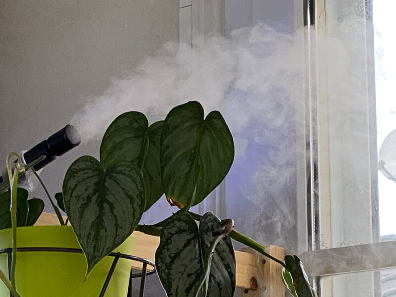 Lire la suite à propos de l’article Installation d’un système de brumisation Hobby Hygro System