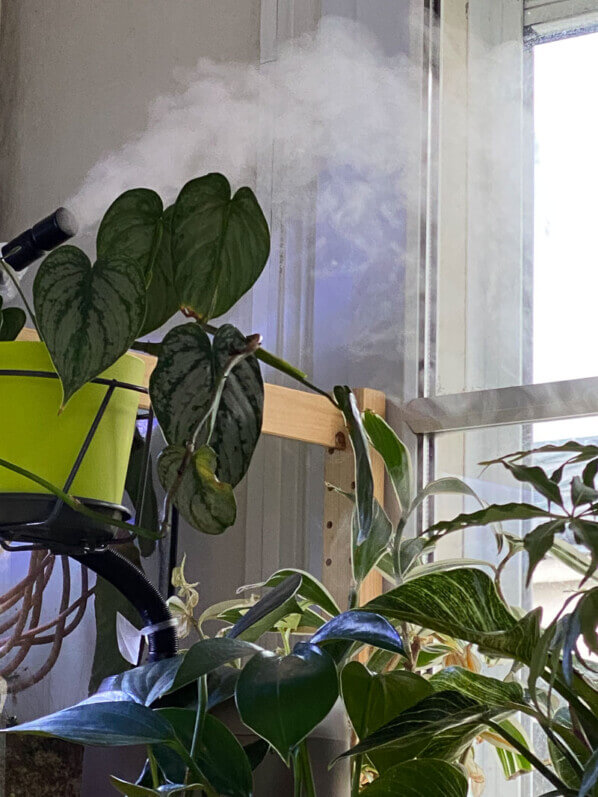 Brume pour humidifier l'air ambiant, hygrométrie, plantes d'intérieur, Paris 19e (75)